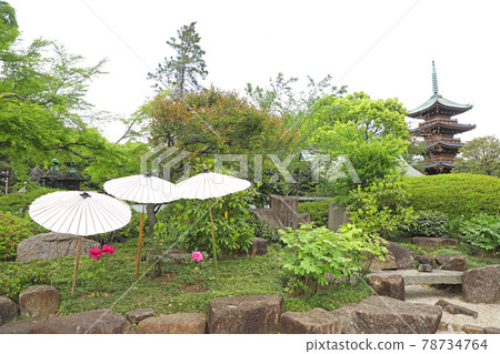 Ueno Onshi Park Ueno Toshogu Botanen 78734764