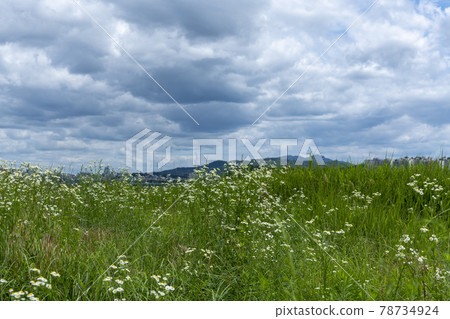 Ichon Han River Park Ichon Han River Park 78734924
