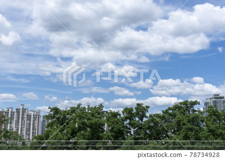 Ichon漢江公園 78734928