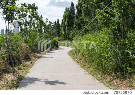 Ichon Han River Park Ichon Han River Park 78735970