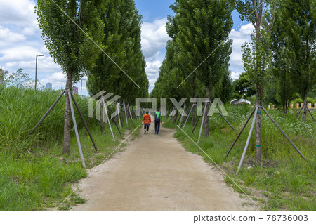 Ichon Han River Park Ichon Han River Park 78736003
