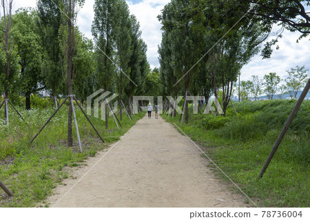 Ichon Han River Park 78736004