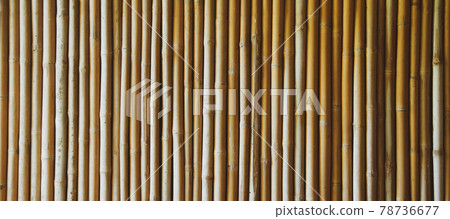 The Pattern of bamboo texture background. 78736677