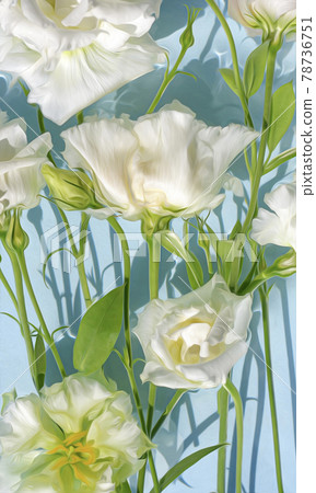 The flowers are white lying in the water. 78736751