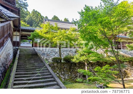 Path with trees, in summer. Eiheiji, Japan. Path with trees, in summer. Eiheiji, Japan. 78736771