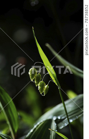 雨後早上震動較大 1 雨後早上震動較大 1 78738852
