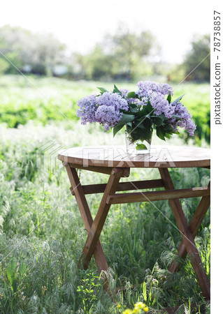 bouquet of lilacs on the table in the summer garden bouquet of lilacs on the table in the summer garden 78738857