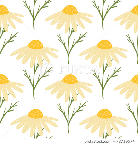 Summer floral seamless pattern with isolated yellow cute daisy flowers print. White background. Botany shapes. 78739574