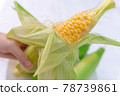corn  78739861