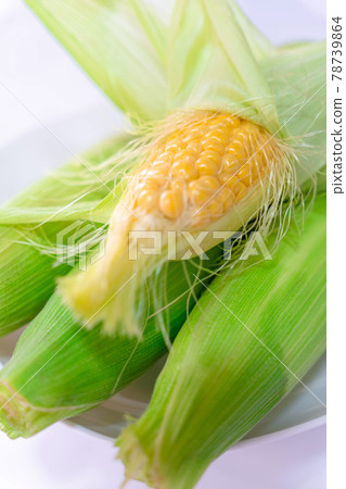 corn corn 78739864