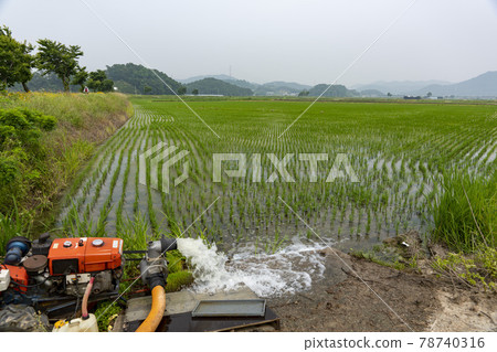 Hojobeol, Siheung-si, Gyeonggi-do 78740316