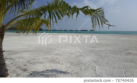 Holidays in Maldives 78740426