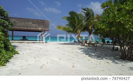 Holidays in the tropical Maldives Holidays in the tropical Maldives 78740427