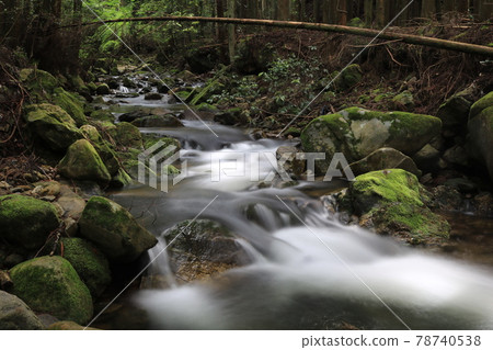 山間溪流,長時間曝光 山間溪流,長時間曝光 78740538