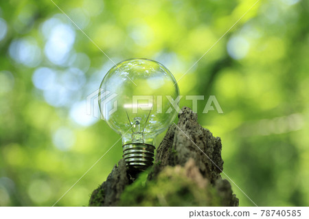 eco, ecology, ecologic 78740585