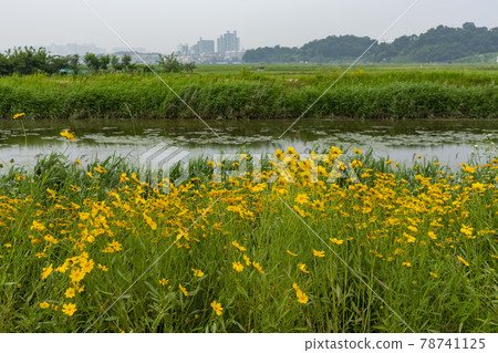 Hojobeol, Siheung-si, Gyeonggi-do 78741125