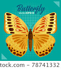 Butterfly vector illustration 78741332