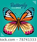 Butterfly vector illustration 78741333