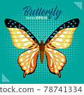 Butterfly vector illustration 78741334