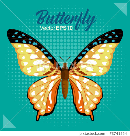 Butterfly vector illustration 78741334