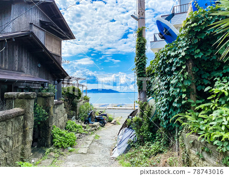 Road leading to the sea in Kamakura 78743016