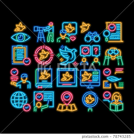 Bird Watching Tourism neon glow icon illustration Bird Watching Tourism neon glow icon illustration 78743285