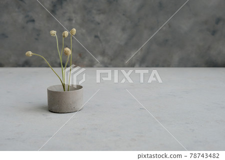 Empty pedestal or product display concrete podium with dry minimalistic flowers and nature leaves on green background. Copy space. 78743482