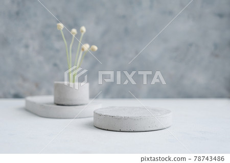 Empty pedestal or product display concrete podium with dry minimalistic flowers and nature leaves on green background. Copy space. 78743486