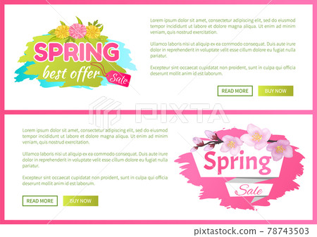 Best Offer Spring Sale Advertisement Daisy Flowers Best Offer Spring Sale Advertisement Daisy Flowers 78743503