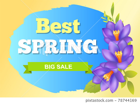 Best Spring Big Sale Advertisement Label Crocus Best Spring Big Sale Advertisement Label Crocus 78744169