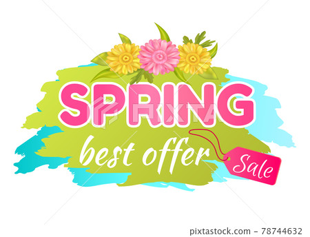 Best Offer Spring Sale Advertisement Daisy Flowers Best Offer Spring Sale Advertisement Daisy Flowers 78744632