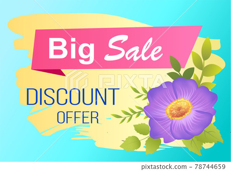 Discount Offer Big Sale Advertisement Label Viola Discount Offer Big Sale Advertisement Label Viola 78744659