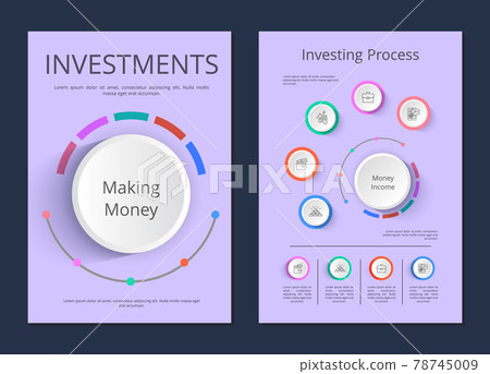 Investments and Investing Process Infographics 78745009