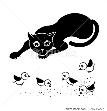 Cat tracks down birds 78745274