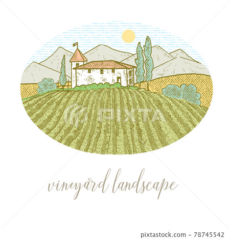 Rural house with a vineyard Rural house with a vineyard 78745542