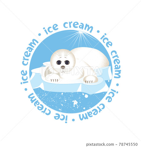 A baby seal on an ice floe 78745550