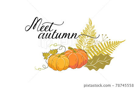 bouquet of yellow leaves, ripe pumpkins bouquet of yellow leaves, ripe pumpkins 78745558