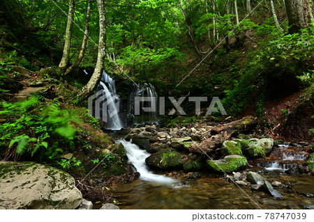 From Sarutsubono Falls 78747039