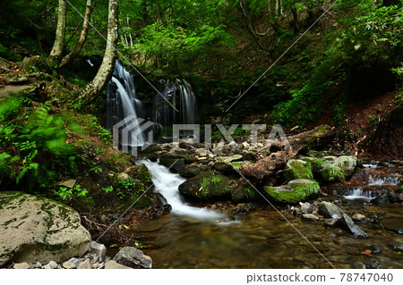 From Sarutsubono Falls 78747040