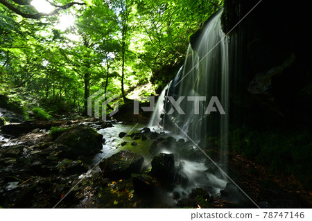 From Sarutsubono Falls From Sarutsubono Falls 78747146