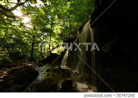 From Sarutsubono Falls 78747200