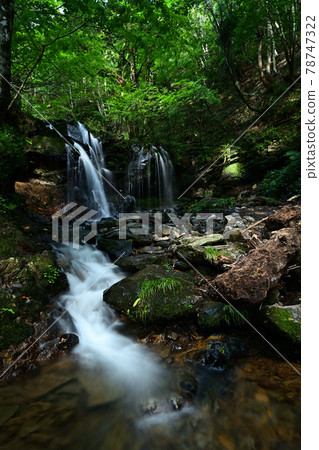 From Sarutsubono Falls From Sarutsubono Falls 78747322