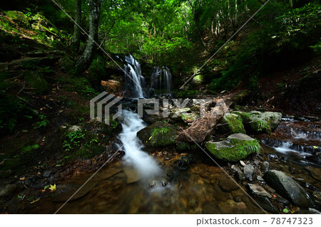 From Sarutsubono Falls 78747323