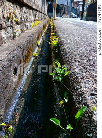 排水景觀 排水景觀 78747699