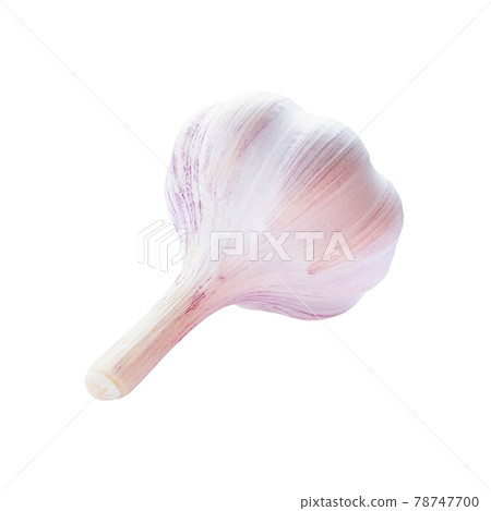 Garlic raw vegetable isolated on white background. Garlic raw vegetable isolated on white background. 78747700