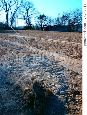 空置教學樓的遺跡 78747715