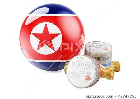 Water consumption in North Korea. Water meters with North Korean flag. 3D rendering Water consumption in North Korea. Water meters with North Korean flag. 3D rendering 78747755