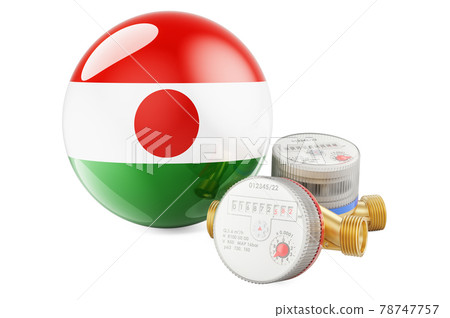 Water consumption in Niger. Water meters with Niger flag. 3D rendering Water consumption in Niger. Water meters with Niger flag. 3D rendering 78747757