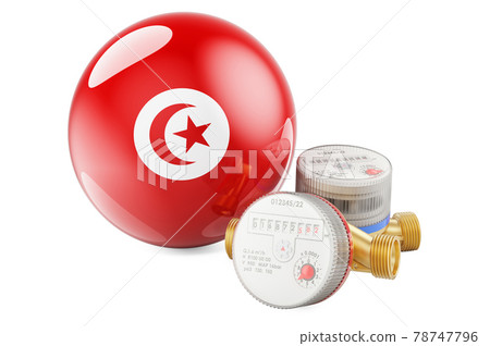 Water consumption in Tunisia. Water meters with Tunisian flag. 3D rendering Water consumption in Tunisia. Water meters with Tunisian flag. 3D rendering 78747796