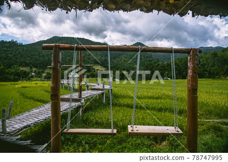 Bamboo Bridge in Pai, Mae Hong Son, Chiang Mai, thailand 78747995